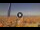 Webcam in Pinarella di Cervia, 24.4 km