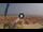 Webcam in Pinarella di Cervia, 1.9 mi away