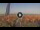 Webcam in Pinarella di Cervia, 15.5 km entfernt