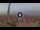 Webcam in Pinarella di Cervia, 5 km