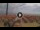 Webcam in Pinarella di Cervia, 1.9 mi away
