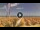 Webcam in Pinarella di Cervia, 4.5 km entfernt