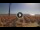 Webcam in Pinarella di Cervia, 15.5 km