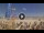 Webcam in Pinarella di Cervia, 0.7 mi away