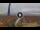 Webcam in Pinarella di Cervia, 5.5 km