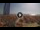 Webcam in Pinarella di Cervia, 0.2 km