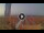 Webcam in Pinarella di Cervia, 2.3 km