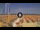 Webcam in Pinarella di Cervia, 12.2 km