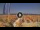 Webcam in Pinarella di Cervia, 10.4 km entfernt