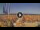 Webcam in Pinarella di Cervia, 0.6 mi away