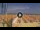 Webcam in Pinarella di Cervia, 10.4 km