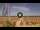 Webcam in Pinarella di Cervia, 5.5 km