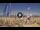 Webcam in Pinarella di Cervia, 2 mi away