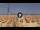 Webcam in Pinarella di Cervia, 5.5 km