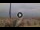 Webcam in Pinarella di Cervia, 1.4 km