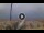 Webcam in Pinarella di Cervia, 1.4 km