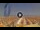 Webcam in Pinarella di Cervia, 5.3 mi away