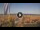 Webcam in Pinarella di Cervia, 5.5 km