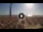 Webcam in Pinarella di Cervia, 0.5 km entfernt