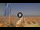 Webcam in Pinarella di Cervia, 4 mi away
