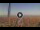 Webcam in Pinarella di Cervia, 1.9 km entfernt