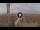 Webcam in Pinarella di Cervia, 5.5 km