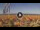 Webcam in Pinarella di Cervia, 1.9 km entfernt