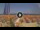 Webcam in Pinarella di Cervia, 4.7 mi away