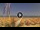 Webcam in Pinarella di Cervia, 4.8 km