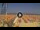 Webcam in Pinarella di Cervia, 1.7 mi away