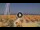 Webcam in Pinarella di Cervia, 5 km