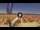 Webcam in Pinarella di Cervia, 0.1 mi away