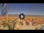 Webcam in Pinarella di Cervia, 0.9 km entfernt