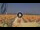 Webcam in Pinarella di Cervia, 5.2 km entfernt