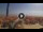 Webcam in Pinarella di Cervia, 5.2 km entfernt