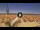 Webcam in Pinarella di Cervia, 0.3 mi away