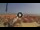 Webcam in Pinarella di Cervia, 1.9 km