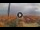 Webcam in Pinarella di Cervia, 0.2 mi away