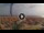 Webcam in Pinarella di Cervia, 24.4 km