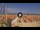 Webcam in Pinarella di Cervia, 3.2 km