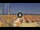 Webcam in Pinarella di Cervia, 0.3 mi away