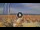 Webcam in Pinarella di Cervia, 7 km entfernt