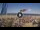 Webcam in Pinarella di Cervia, 5.2 km
