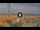 Webcam in Pinarella di Cervia, 5.2 km