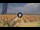 Webcam in Pinarella di Cervia, 5.1 km