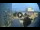 Webcam in Milan, 10.4 mi away