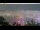 Webcam in Hong Kong, 19.1 km entfernt