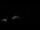 Webcam in Taupitzalm, 0.4 mi away
