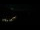 Webcam in Taupitzalm, 0.4 mi away