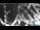 Webcam in Abetone, 3.4 km entfernt